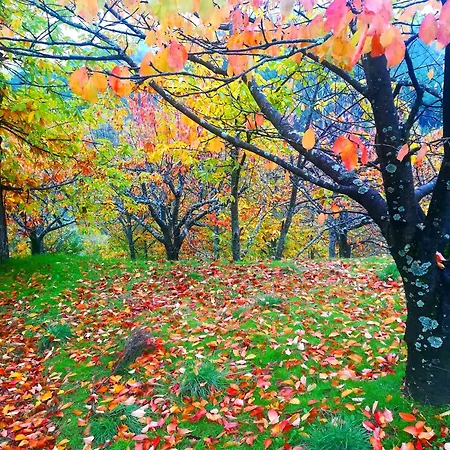 La Albarea By #cherrygredos El Arenal (Castile and Leon)