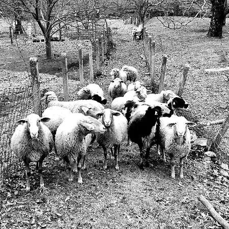 Apartment La Albarea By #cherrygredos