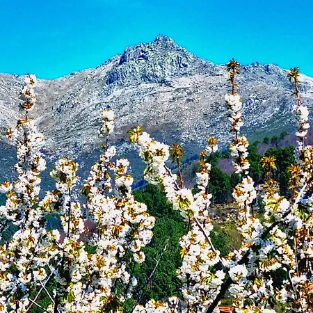 La Albarea By #cherrygredos