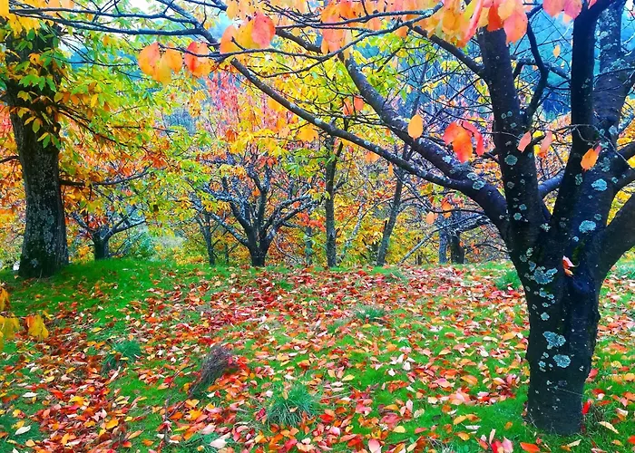 La Albarea By #cherrygredos El Arenal