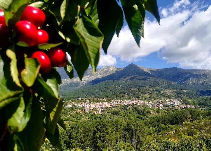 Apartman La Albarea By #cherrygredos