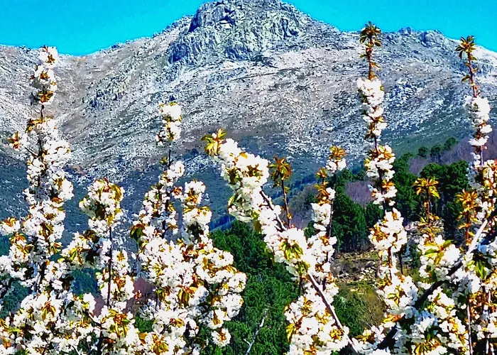 La Albarea By #cherrygredos