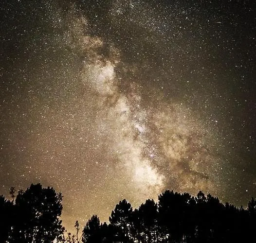 La Albarea By #cherrygredos El Arenal